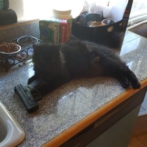 Meet your Posher, Zolton